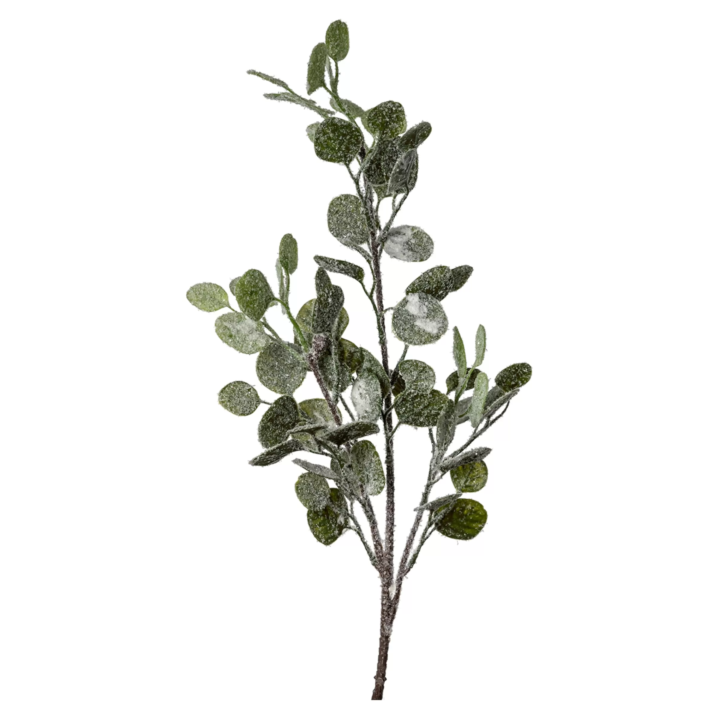 Depot Branche Artificielle Eucalyptus, Enneigee