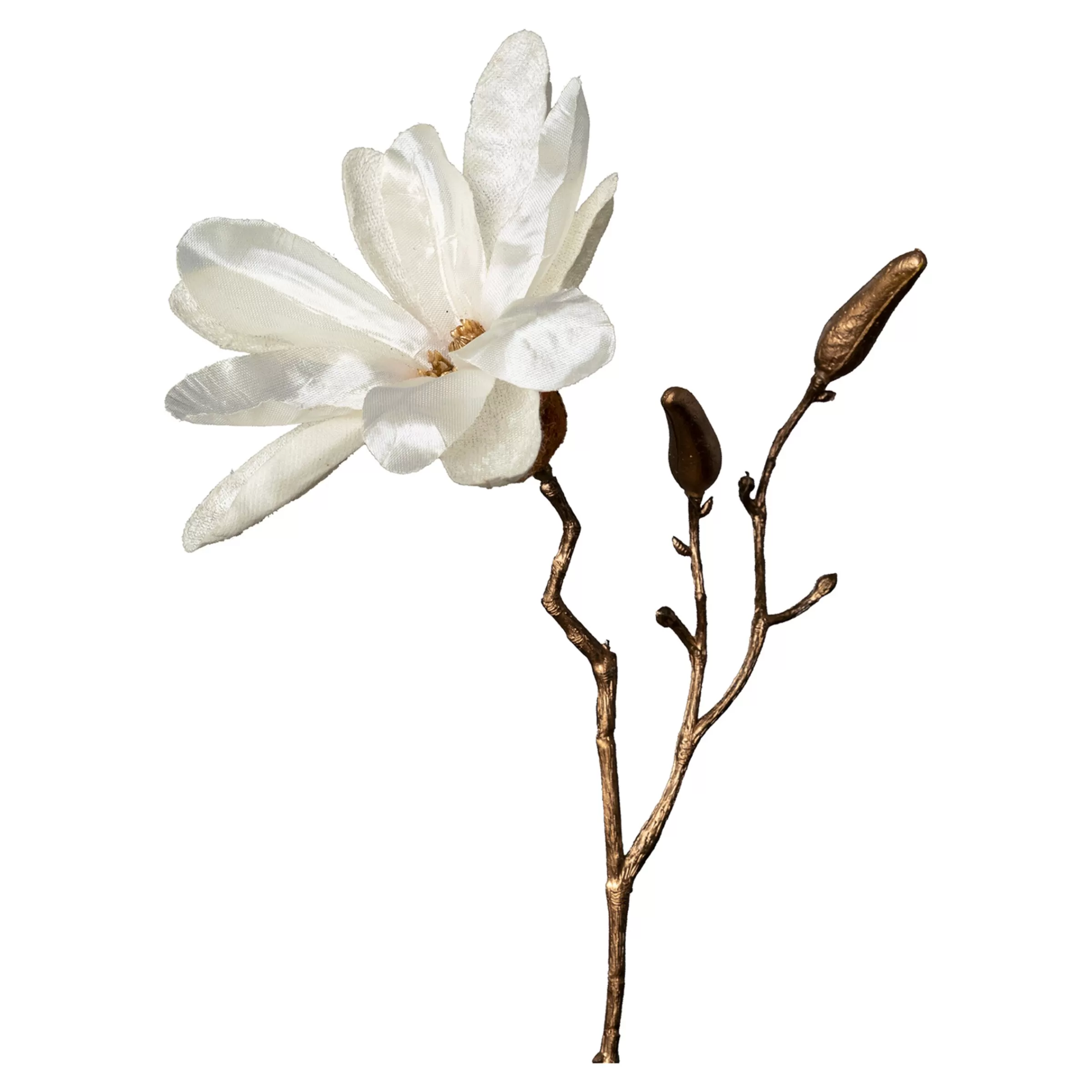 Depot Branche Artistique Magnolia