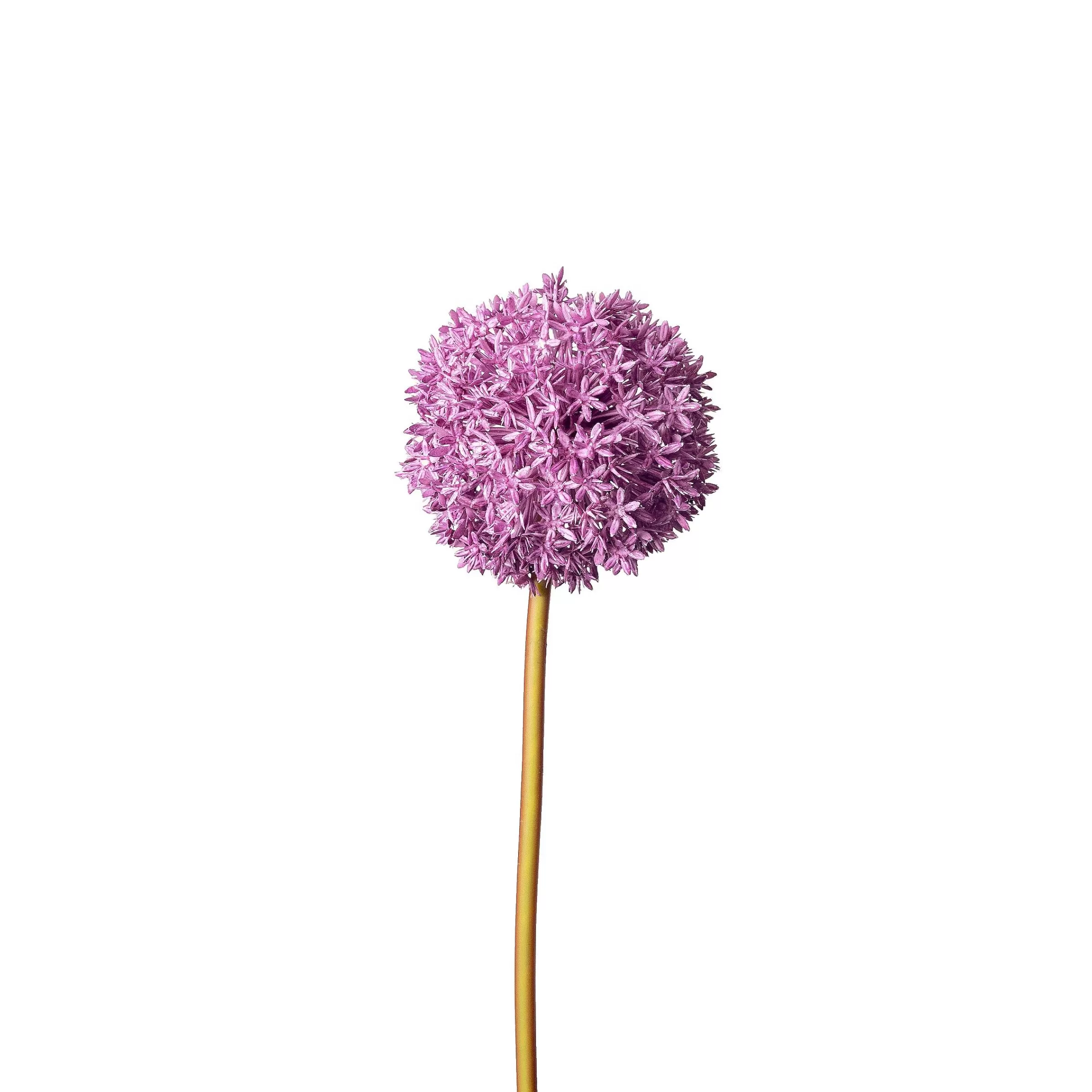 Depot Fleur De Tige Artificielle Allium Online