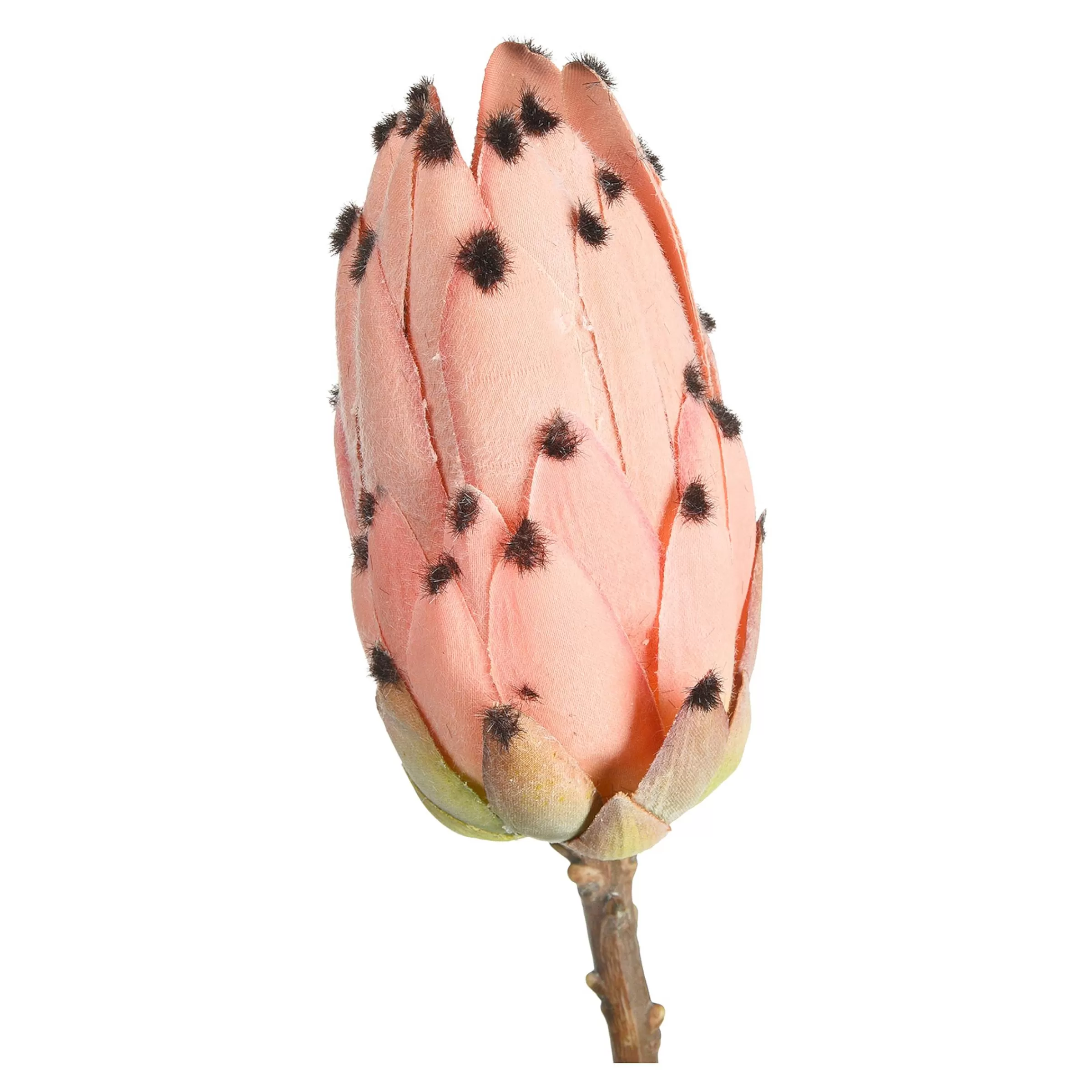 Depot Fleur De Tige Artificielle Protea Shop