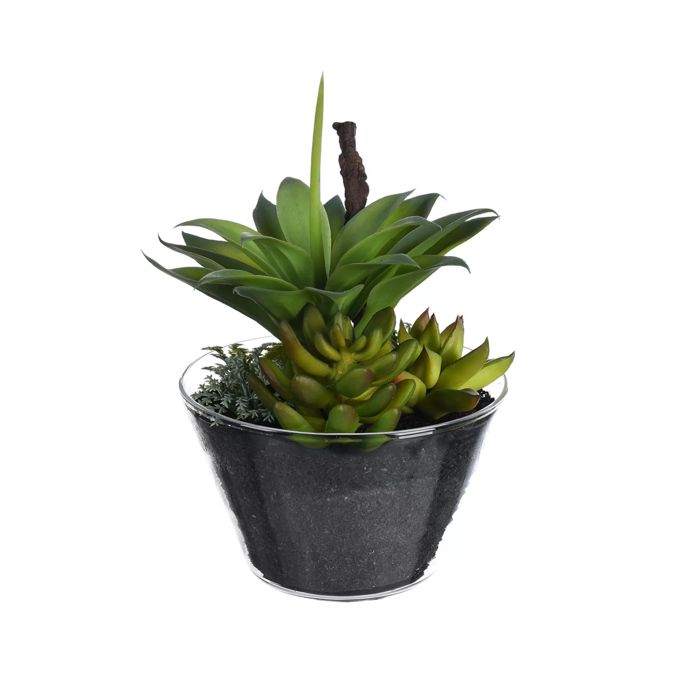 Depot Plante Artificielle Melange De Plantes Succulentes Dans Un Recipient En Verre