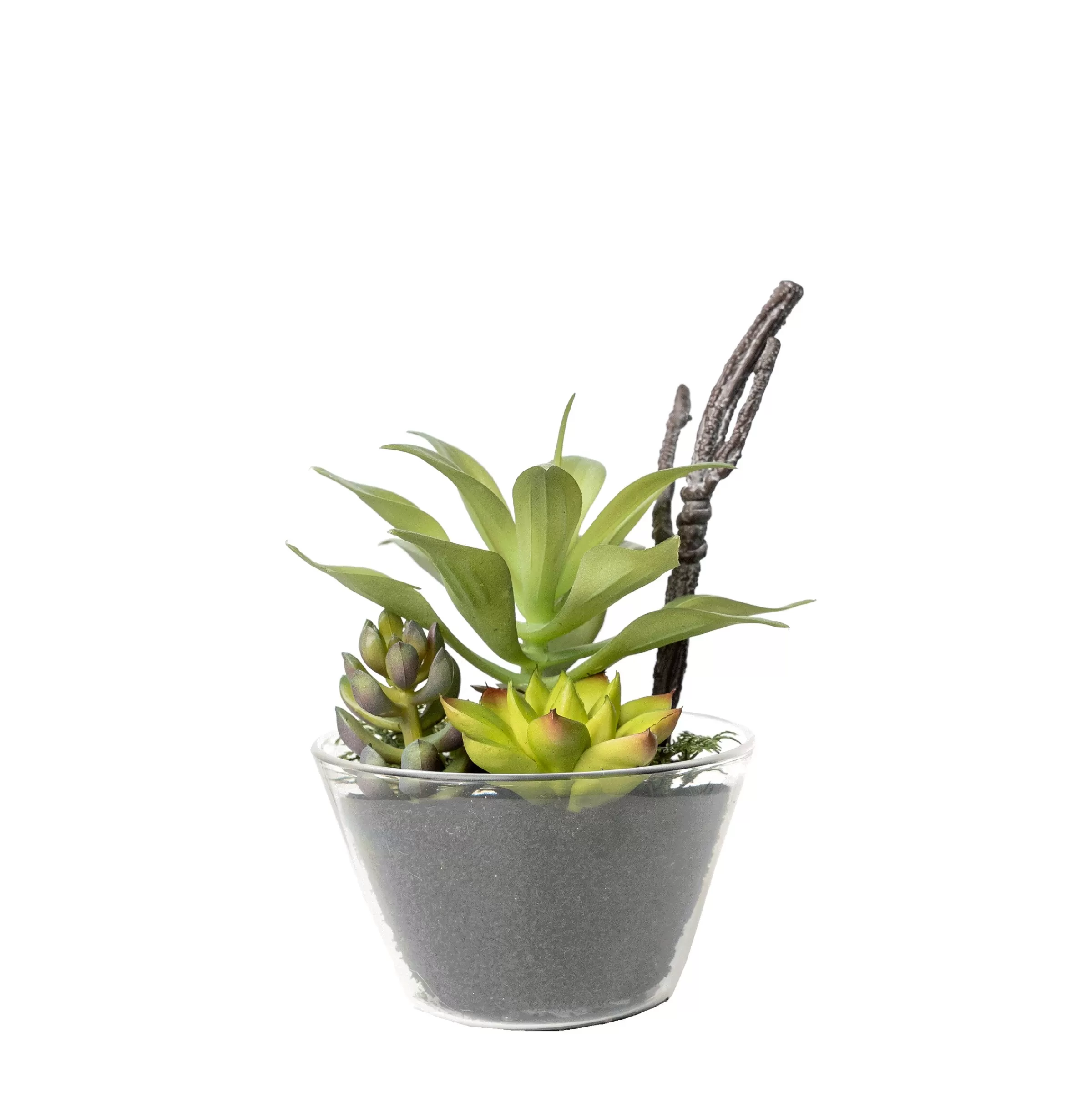 Depot Plante Artificielle Melange De Plantes Succulentes Dans Un Recipient En Verre